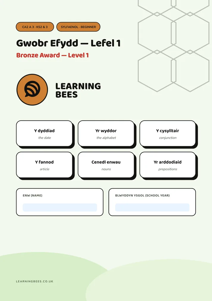 Bronze Award workbook