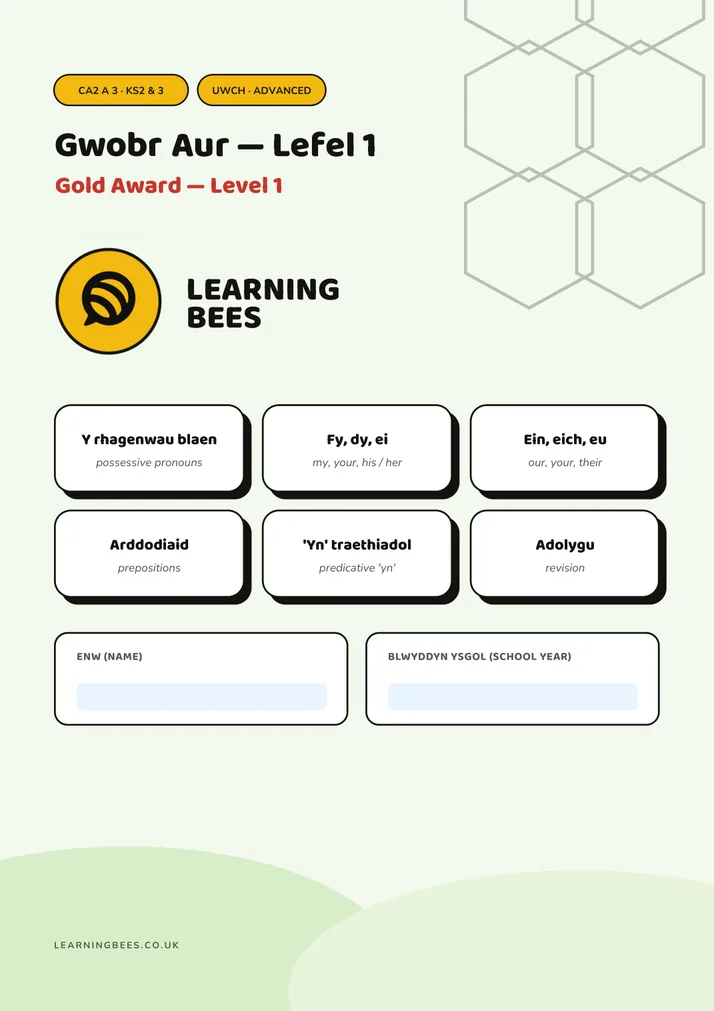 Gold Award workbook