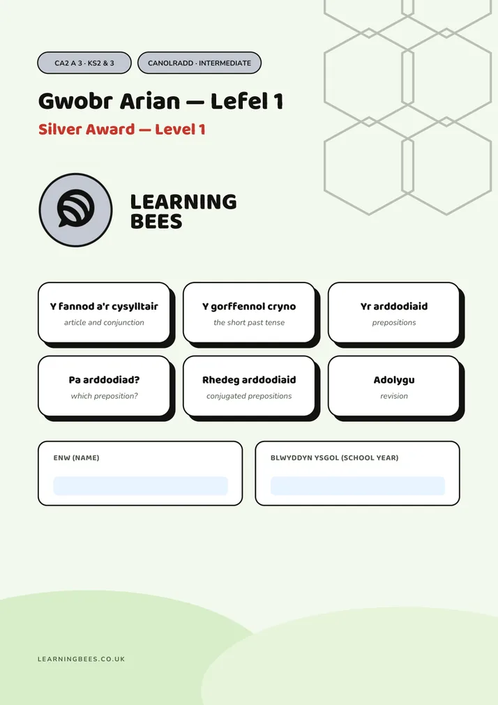 Silver Award workbook