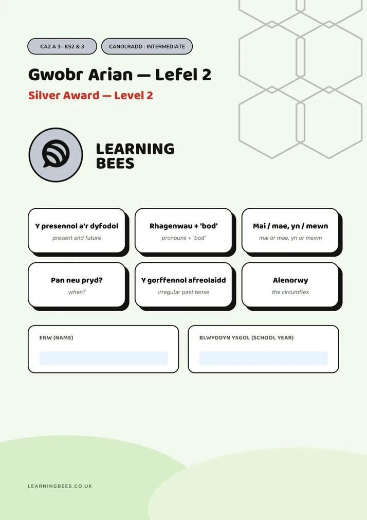 Cover of Silver Award Level 2