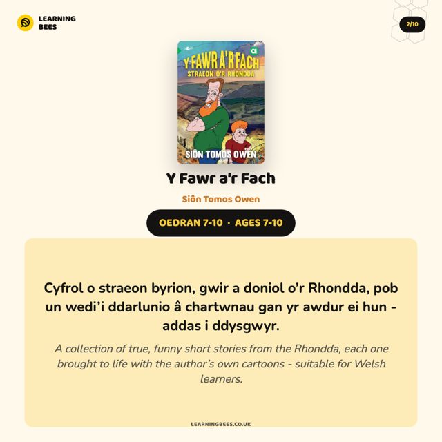 Y Fawr a'r Fach book recommendation — Instagram post