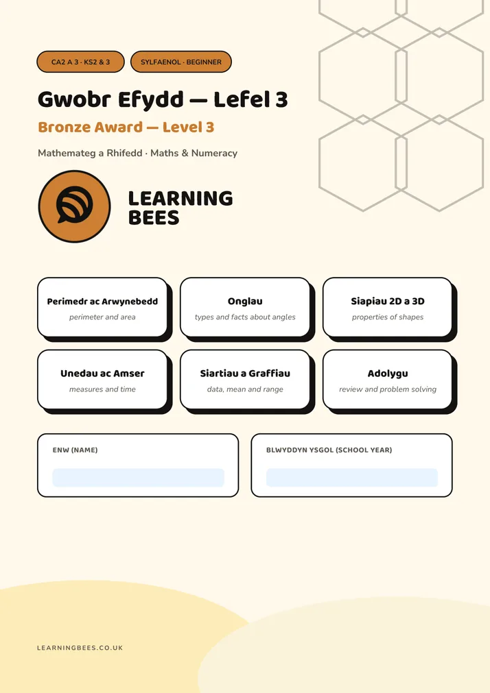Cover of the Bronze Award Level 3 workbook