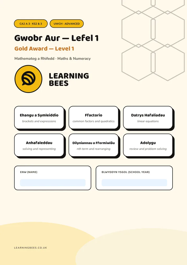Gold Award workbook