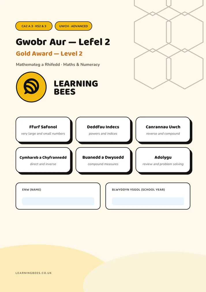 Cover of Mathemateg Gold Award Level 2