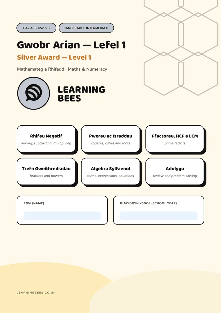Silver Award workbook