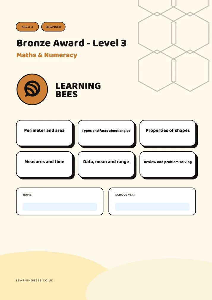 Cover of the Bronze Award Level 3 workbook