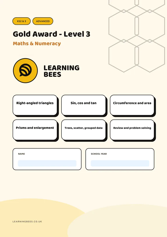 Cover of Maths Gold Award Level 3